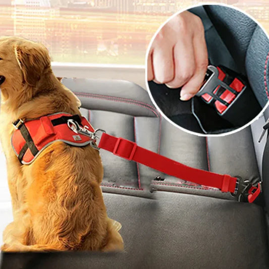 Heizune™ Car Safety Strap