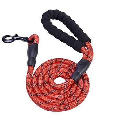 5ft Heizune™ Dog Leash