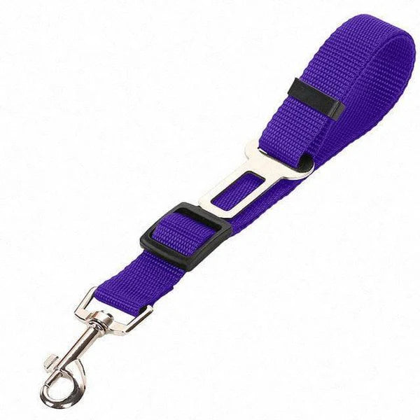Heizune™ Car Safety Strap