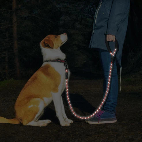 5ft Heizune™ Dog Leash