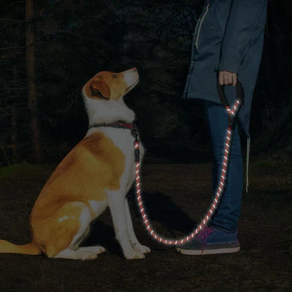 5ft Heizune™ Dog Leash